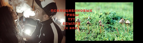 прущие крисы Богородск