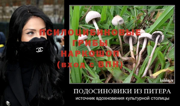 прущие крисы Богородск