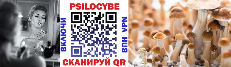 площадка как зайти  гидра вход  Кочубеевское  Псилоцибиновые грибы MAGIC MUSHROOMS 